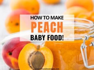 Homemade plum 2024 baby food